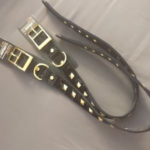 Bootique Penumbra Velvet with Studs Dog Collar L/XL